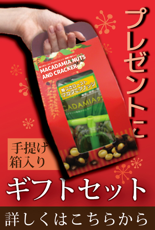 殻付マカダミアナッツ200gとプラスチッククラッカーのセット自然派健康食品なふりショップ