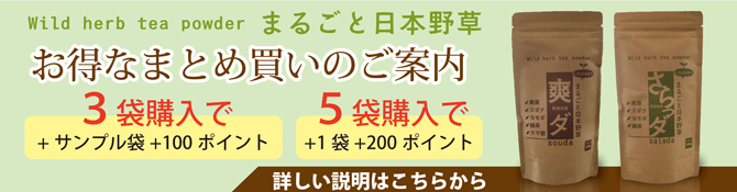 野草抹茶　爽ダ・さらっダまとめ買いのご案内