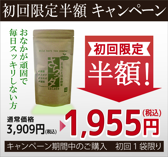 まるごと日本野草 野草抹茶 爽ダ 半額キャンペーン
