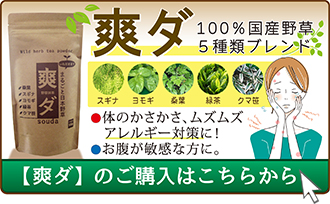 【爽ダ】ご購入ページへ