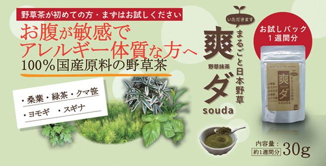 まるごと日本野草　野草抹茶　爽ダ　サンプル　トップ画像