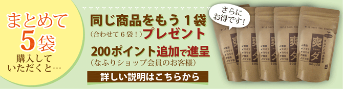 まるごと日本野草　野草抹茶　爽ダ　まとめて購入がお得です