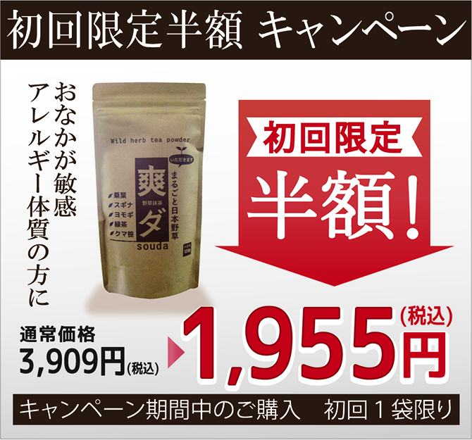 まるごと日本野草 野草抹茶 爽ダ 半額キャンペーン